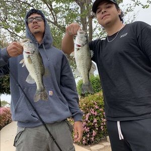 Meet your Posher, Abram